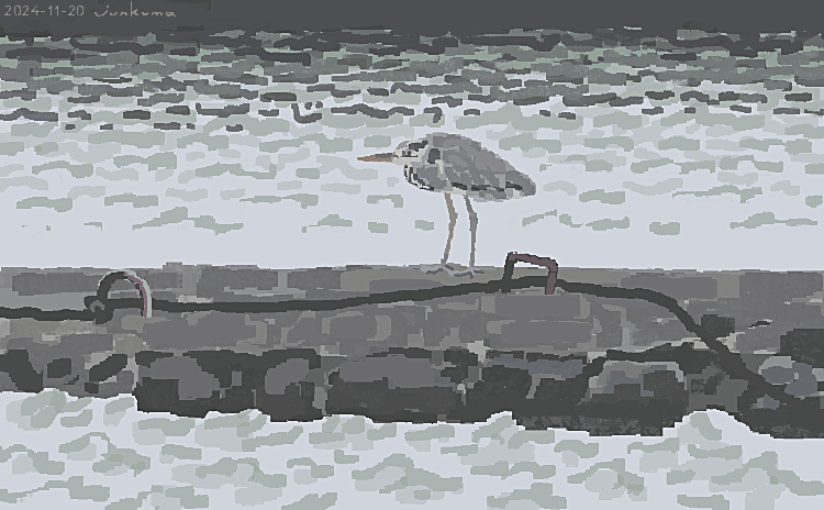 J_KMOR's tweet photo. 海と鳥 https://t.co/cEnuPsDIwP