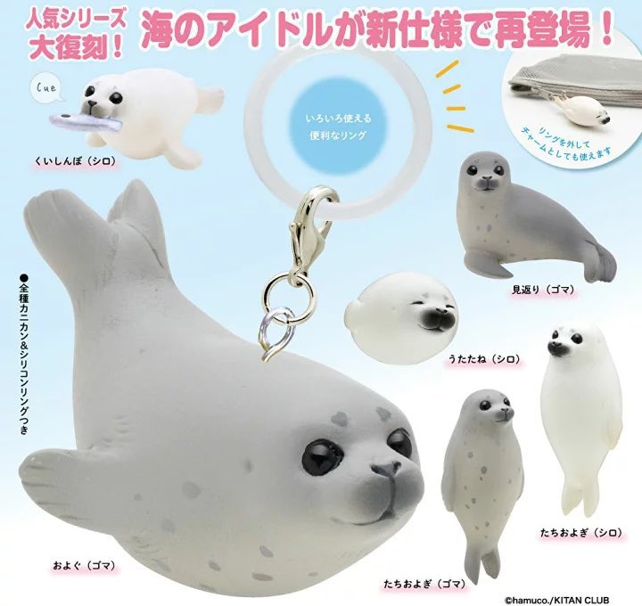 japancapsuletoy's tweet photo. 【アザラシ めじるしチャーム】 
9月発売のガチャガチャ。 
https://t.co/SxoNzJ6wCB #pr https://t.co/tNYsmJLdLm