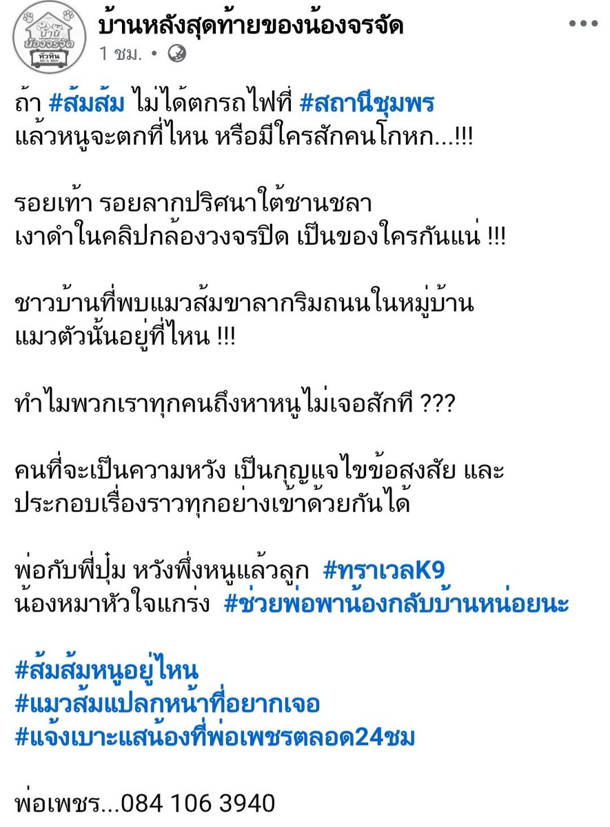 TarotYouuuu's tweet photo. ทุกคนครับ ผ่านมา 21 วันแล้วนะครับ ที่น้องสีส้มหายตัวไป การรถไฟ ไม่มีความรับผิดชอบ มีแต่พี่ปุ๋ม กับพี่เพชรเท่านั้นที่คอยออกตามหาน้องสีส้มตลอดเวลา ช่วยกันส่งกำลังใจให้พี่ๆ เขาด้วยนะครับ !!!!!!!

#แมวหาย
#แมวหายบนรถไฟ https://t.co/o1G6uEivub