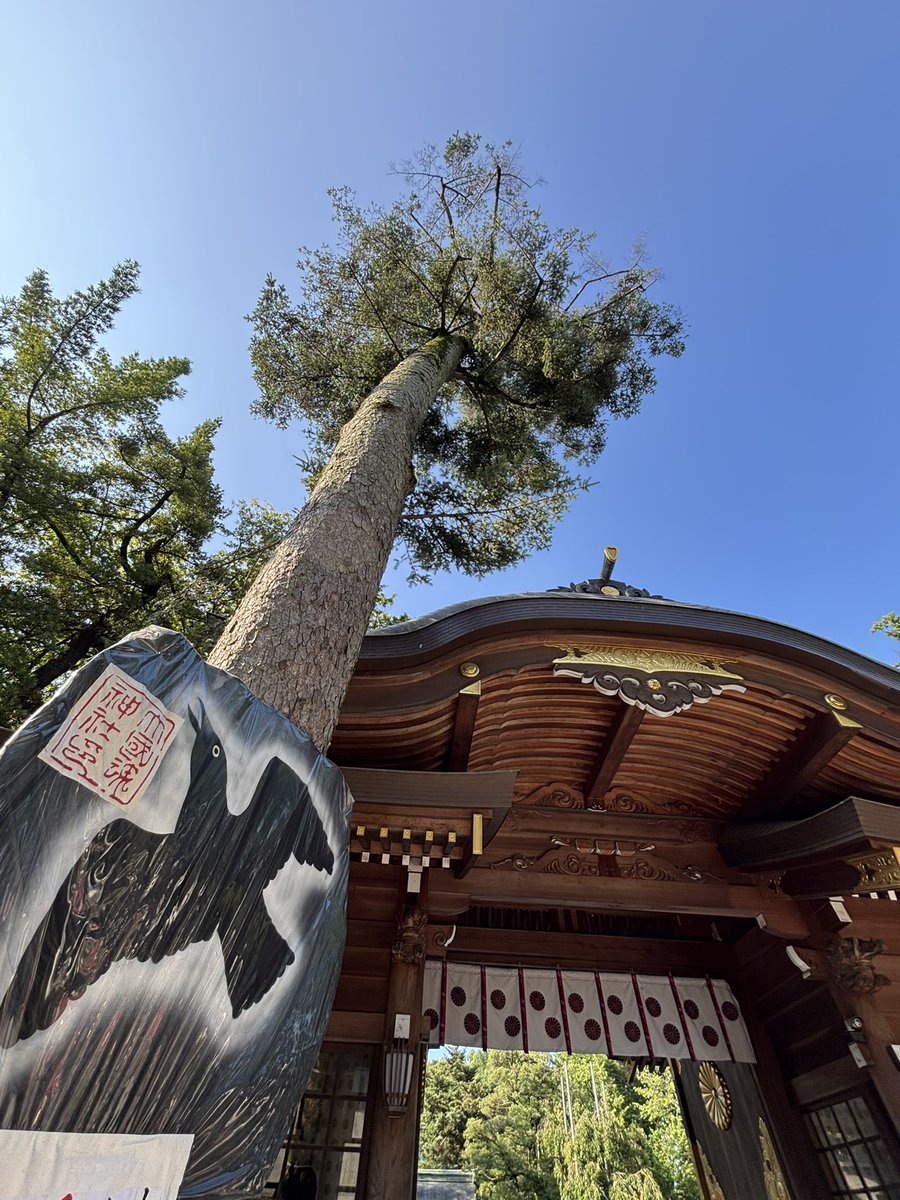 RMatufuji's tweet photo. おはようございます☀
大國魂神社に伺いました⛩️
カラス団扇とカラスおみくじを頂きました
おみくじは大吉🙌
朝早いのに人も沢山で賑わっていました
#すもも祭り
#大國魂神社 https://t.co/jg3TmRXlz0