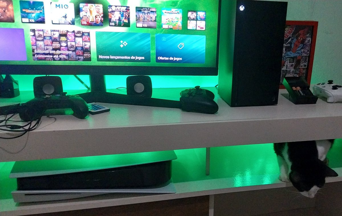 Dinho Pará tweet media