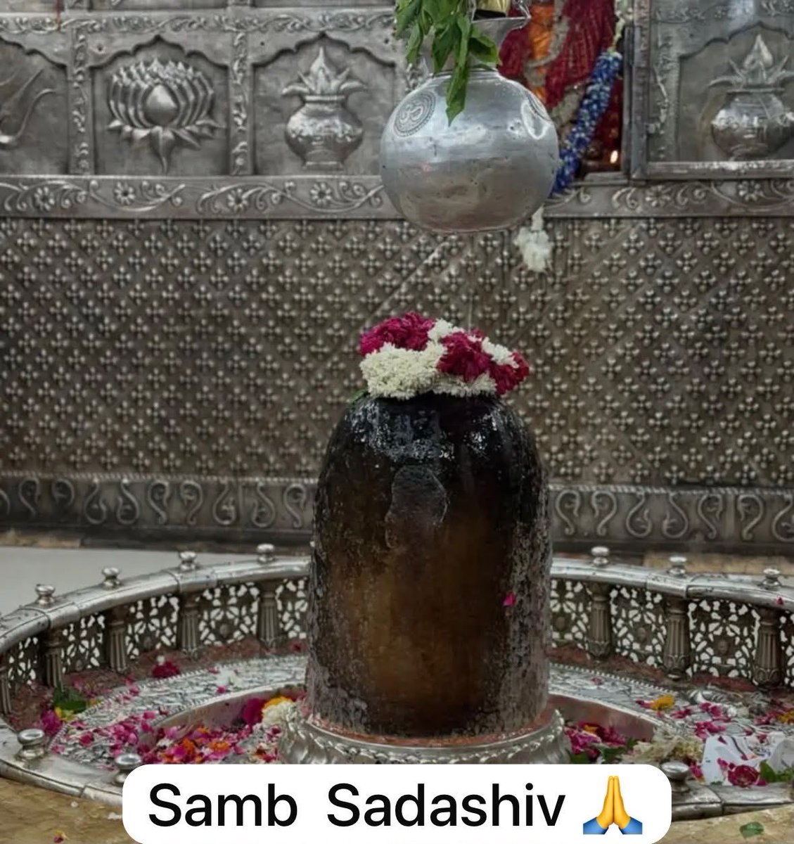 Pravu4you's tweet photo. Samb Sadashiv 🙏 https://t.co/fI09SPaxxH