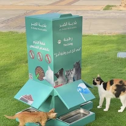 Simo__Ben's tweet photo. الحلول لتغذية قطط الشارع بطريقة منظمة موجودة
خاص غير الجهات المختصة فكل مدينة تدير خدمتها 👇🏻 https://t.co/C6wK6y5PDz