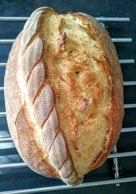 whwhwh43's tweet photo. Just pulled my first sourdough boule with a perfect golden crust from the oven—warm, tangy, and totally worth the 12-hour rise!  #BakingJoy #SourdoughSuccess https://t.co/bVMXJYu1nd