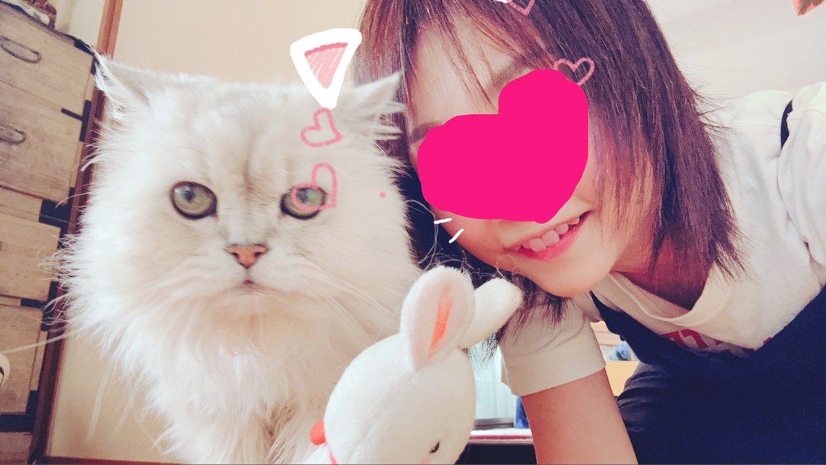 mi39GE's tweet photo. うちの猫ちゃん💛
本日15歳のお誕生日🎂

ツーショットを撮ったが、いつもの如く私にだけ猫耳とお髭エフェクトかかる😂

私の大切な家族😽
噛みついたりパンチ🤛もする凶暴猫ちゃんだけど、元気でいてくれたらそれでいい☺️

大好きだよ💛

#激かわ猫
#チンチラシルバー https://t.co/QW3Cf1t3GJ