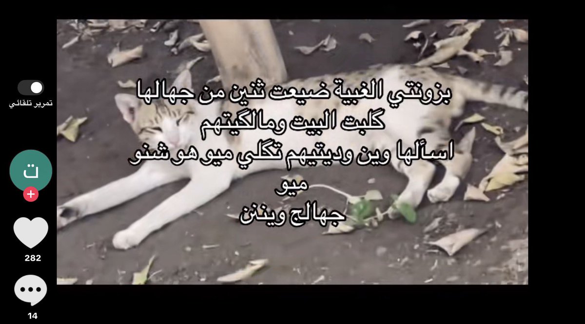vi0no_'s tweet photo. @iio377 سالفتج وصلت للتيك ههه https://t.co/LXn8yNFkMX