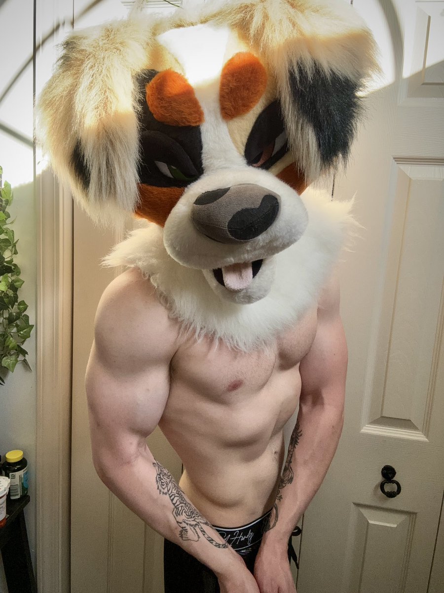 koda_shep_ad's tweet photo. The post-workout reward https://t.co/14jIXZevlw