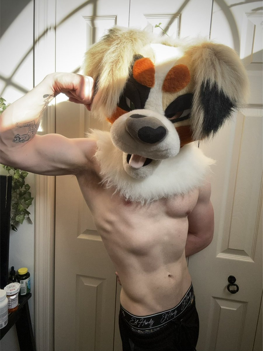 koda_shep_ad's tweet photo. The post-workout reward https://t.co/14jIXZevlw