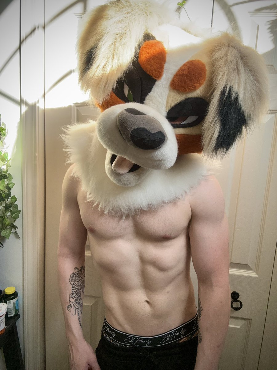 koda_shep_ad's tweet photo. The post-workout reward https://t.co/14jIXZevlw