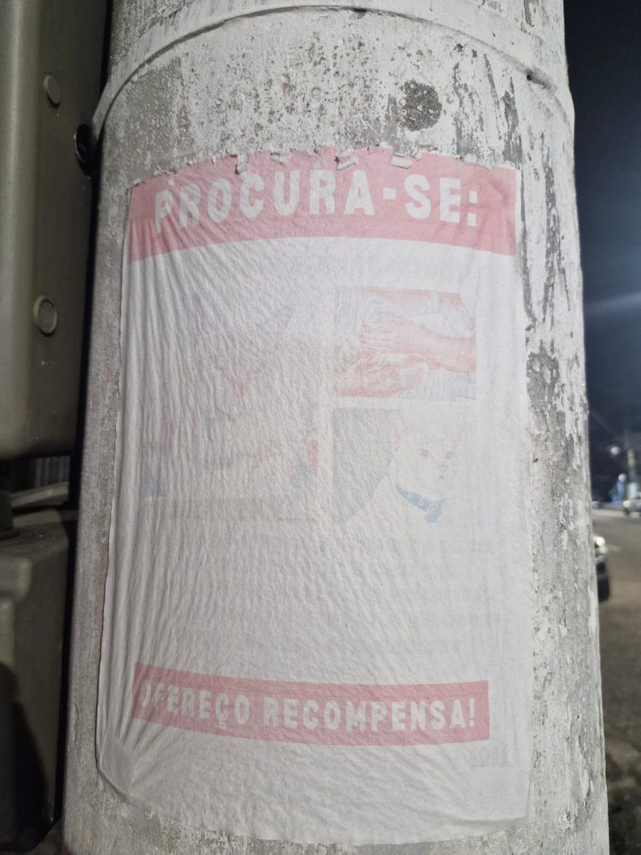 cupninas's tweet photo. Gatinho perdido no bairro do marco, foi visto hoje 19/07/2026. Quem puder compartilhar eu agradeço, não tem como ver nenhuma das informações do poster original https://t.co/TraIRIsAIC
