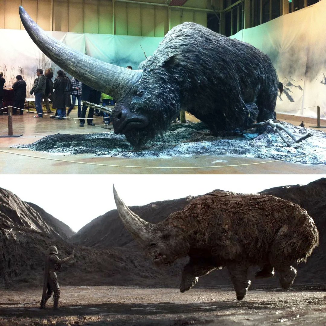 syncronus's tweet photo. Just saw this fight between two one-horned rhinoceros in Nepal. It always fascinates me about the origin of rhinos, which all came from one ancestor Elasmotherium the Siberian Unicorn, which is the inspiration behind the Mudhorn in Mandalorian. https://t.co/S7hh7NqQJe