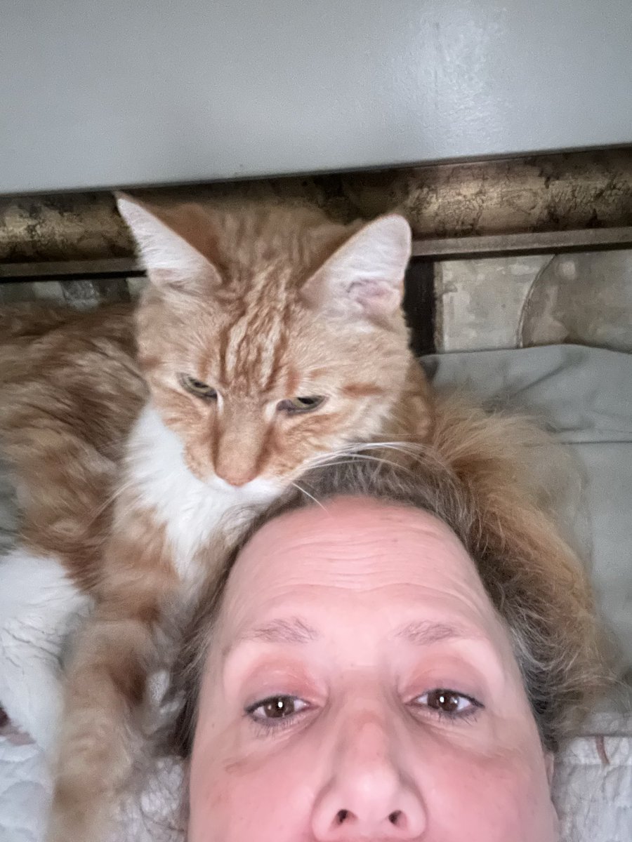 MaggieMinds's tweet photo. My Oliver crossed over the rainbow today. He’s with daddy in heaven. Never had there ever been a better cat than he. I was honored to be his chosen person. My heart is a little more broken but I was so lucky to have had this angel for 16 years. RIP my baby. https://t.co/eXi2eluZKd