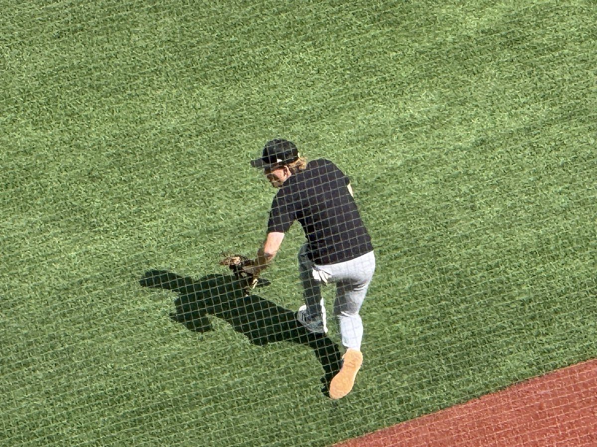 NKframes's tweet photo. Great time cheering on the white sox. https://t.co/R1xsCCM7JJ