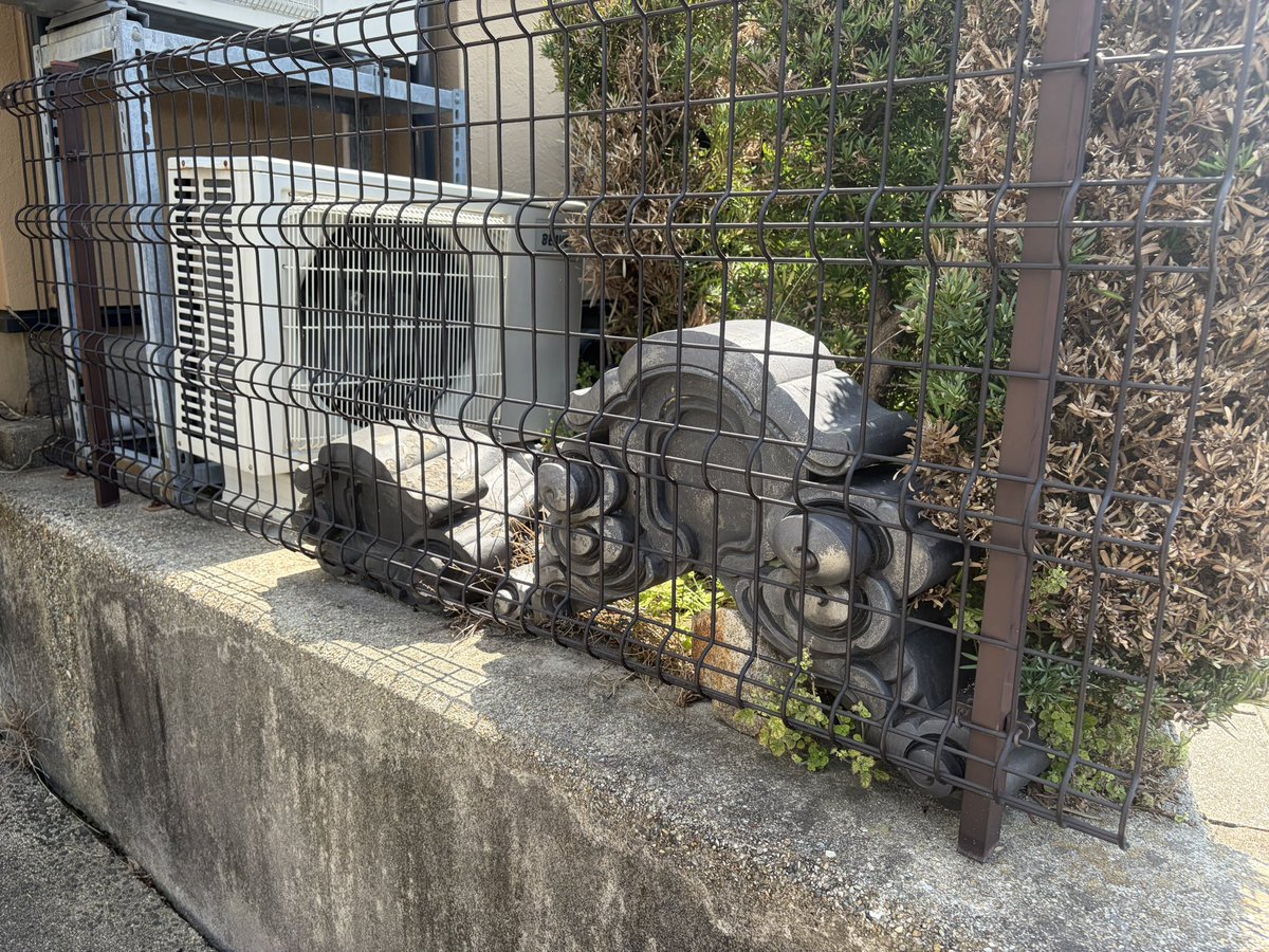 maruwaroof's tweet photo. どうも、僕です。
現場の隣から熱い視線を感じて振り向くと…鬼瓦！
屋根上から引退後に庭先へ再雇用。
これからも末永く家を守ってくれてるんだなぁ。
今週も暑くなりそうだけど、頑張ってこー！
#企業公式夏のフォロー祭り
#鬼瓦
#瓦らぶ
#瓦ガーデニング https://t.co/C9SZmSebIF