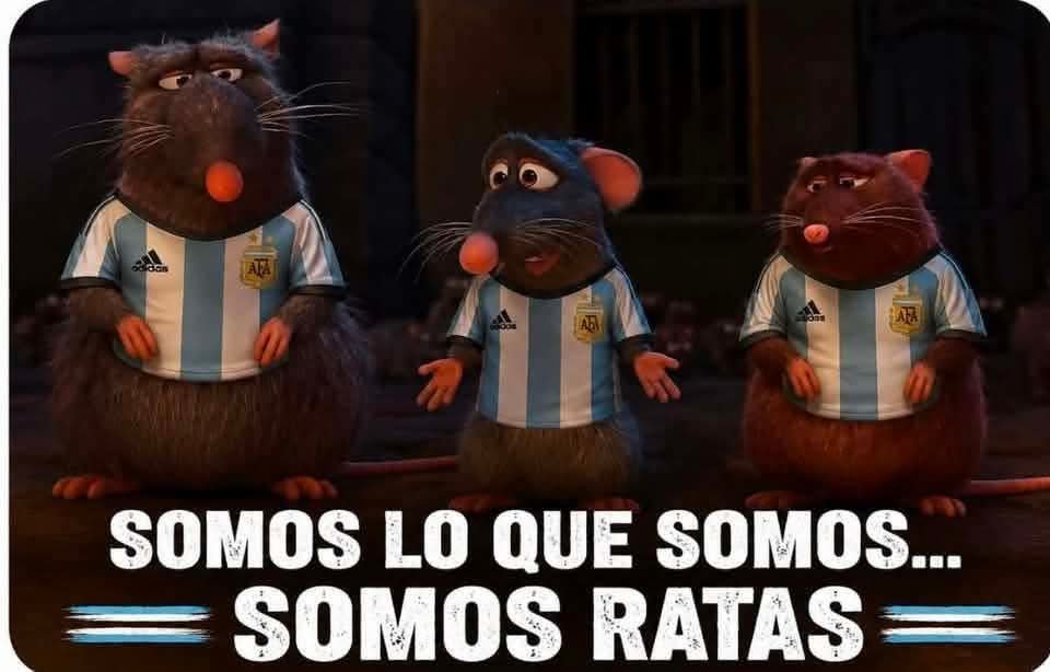 BcFbarja's tweet photo. @JorgePrezyraz @GiljPaulie @Nanosecso Tu patria y dignidad sale cada 4 años, tienes los insultos racistas y xenofobos a la orden del dia, y no me digas que tienes el cerebro y la dignidad empeñada. Muy ordondos el otro dia con la afrenta a Inglaterra, regresa a tu cueva. https://t.co/RN1Cm8SfSB