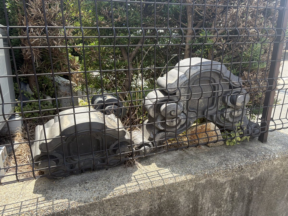 maruwaroof's tweet photo. どうも、僕です。
現場の隣から熱い視線を感じて振り向くと…鬼瓦！
屋根上から引退後に庭先へ再雇用。
これからも末永く家を守ってくれてるんだなぁ。
今週も暑くなりそうだけど、頑張ってこー！
#企業公式夏のフォロー祭り
#鬼瓦
#瓦らぶ
#瓦ガーデニング https://t.co/CLBccWwAvT