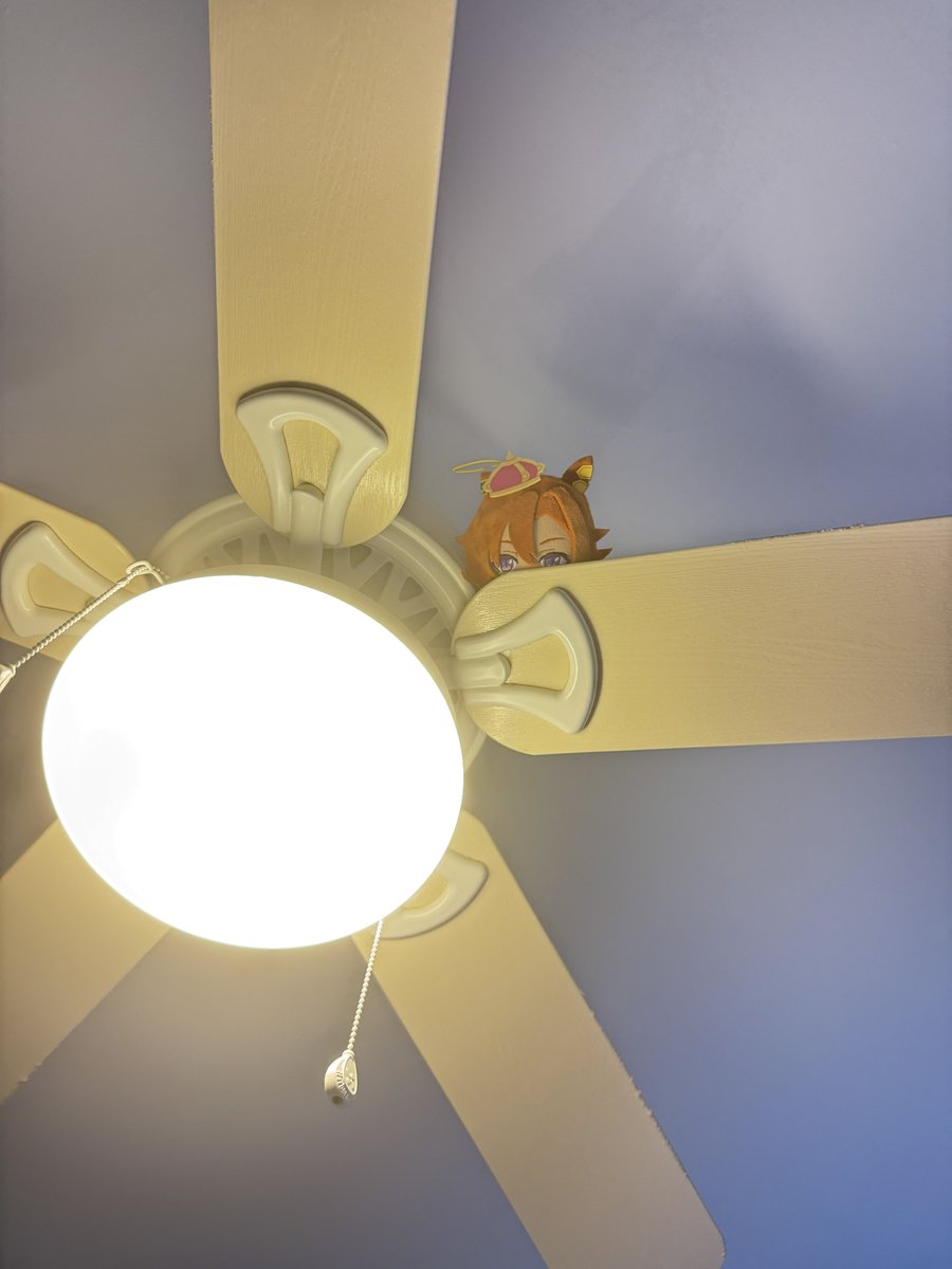 rynrynsignals's tweet photo. get down from there https://t.co/H42GkP4rJH
