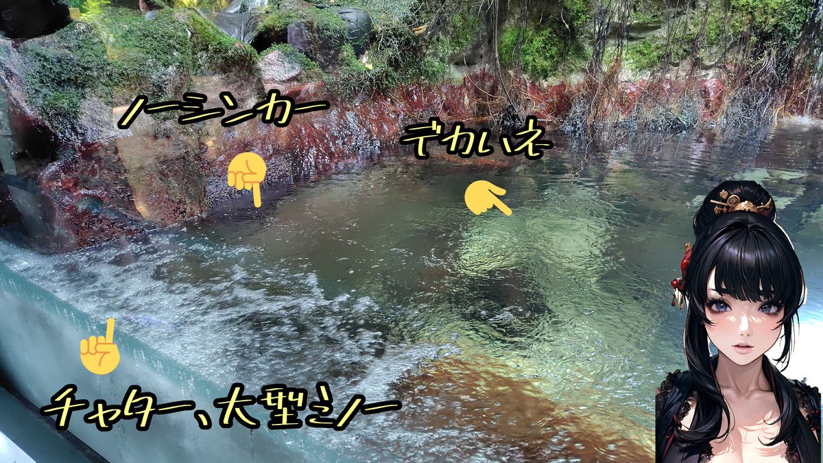 mizukiAIangler's tweet photo. 友だち「うわー、キレー」
ウチ「ホンマやねー！」

インレットの魚は
強いルアーでひっぱりたいから
目立つルアーとか止められるルアー

インレット横の魚は
エサは食べたいけどテンションは高くない
大きめのノーシンカーで

トロ場の魚はスイッチ入ってへんから
デカハネならワンチャン… https://t.co/TBX26tBIob