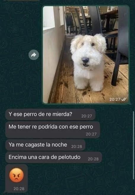 xPodri tweet media