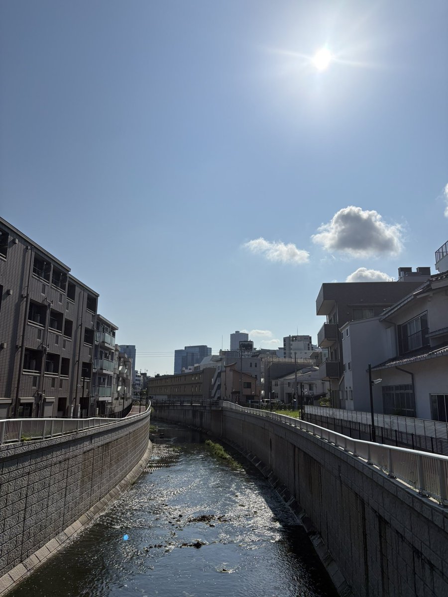 wuneng50's tweet photo. おはようございます☀️
ウォーキング
7:40-8:10

暑い🥵、滝汗、とても走れん。
神社に立ち寄った時、今どきのモペットで乗りつけた20才くらいの若いお兄さんが神妙にお参りしてたのが新鮮。

昨日から右手首外側が痛い。変な横向き寝のせい。

#ダイエット #有酸素運動 
#暗渠 #神社 
#イマソラ https://t.co/ebvFAby3KO