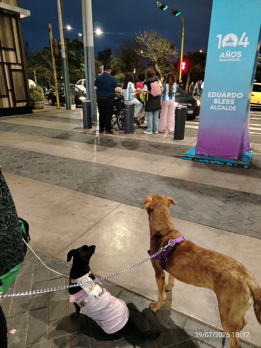 _arlettesalazar's tweet photo. NO FUERON ADOPTADAS💔💔
Amisgos solo donaron s/10 y ahora tenemos que volver con las perritas 😭 nos quedamos hasts el final ya es de noche, ayudanos a regresar con ellas 🙏🏼
🚕 Yape /plin 934962128 Jaquelyn Salazar https://t.co/gNXgQxSovH