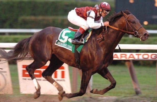 Save Horse Racing tweet media