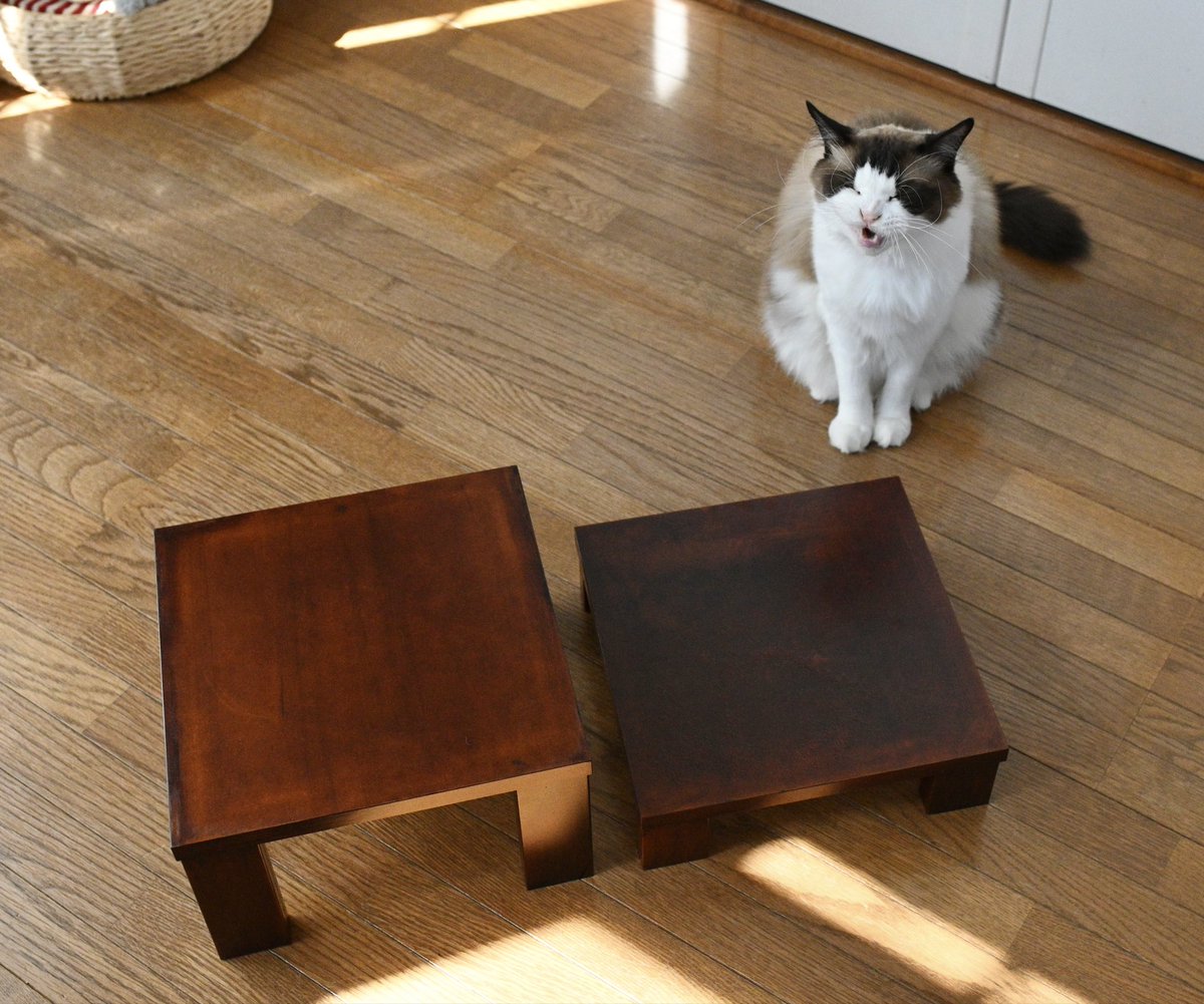 heltune's tweet photo. 暗いところだと図工室の備品色になる https://t.co/P0PY7oyG5W