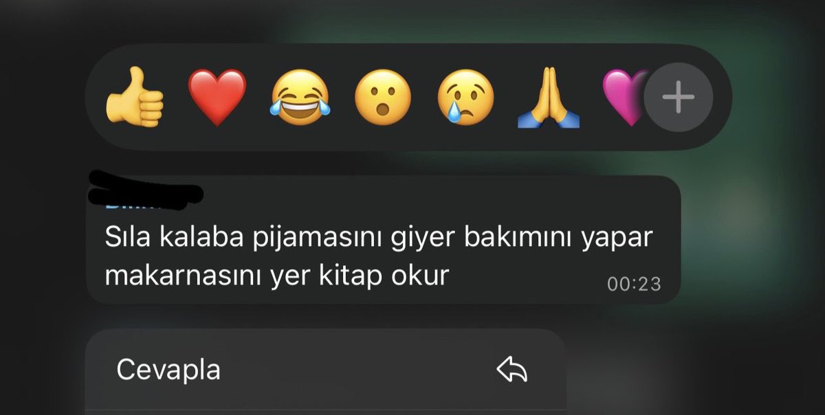 cursedonline's tweet photo. tek mesajda tum hayatimin ozeti var https://t.co/F3NJKDxEMc