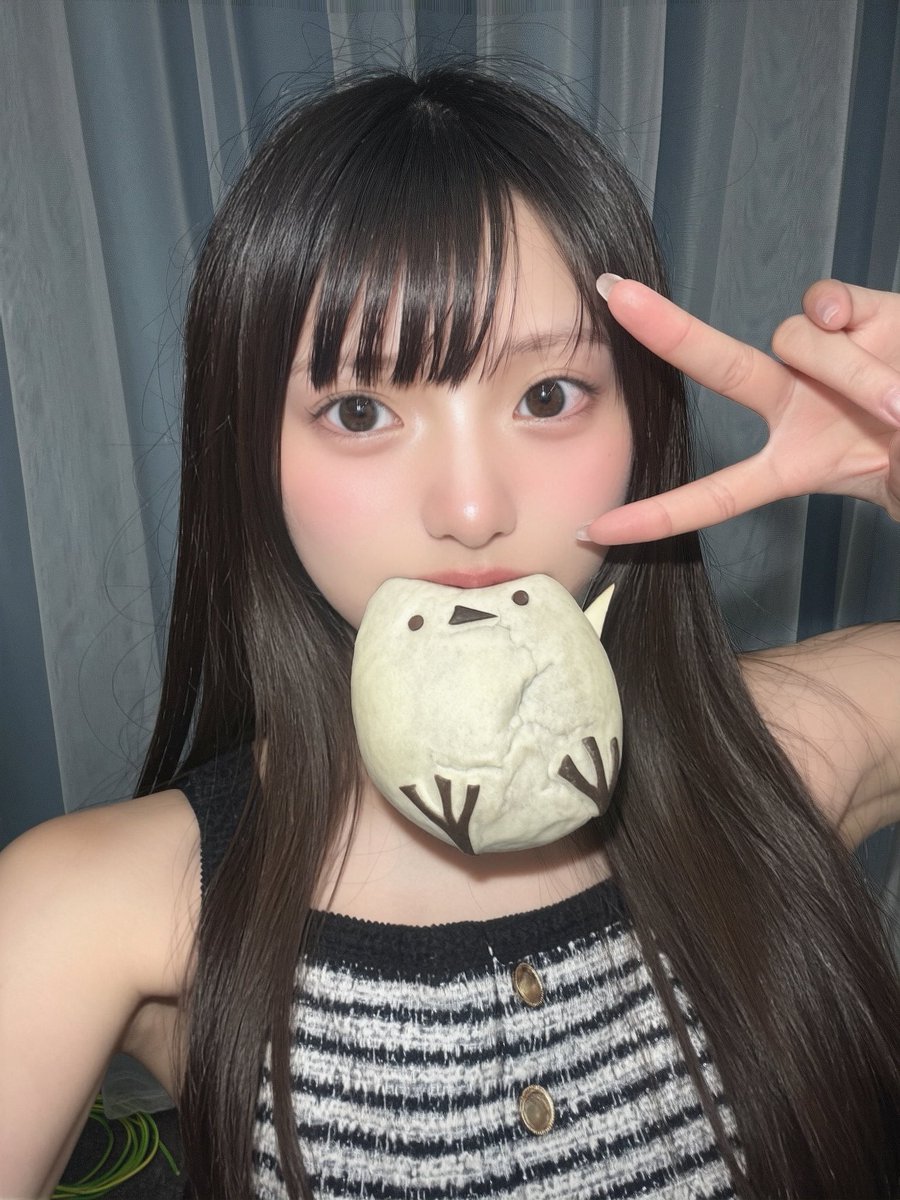 ぼく、シマエナガ。 (@daily_simaenaga) / Posts / X