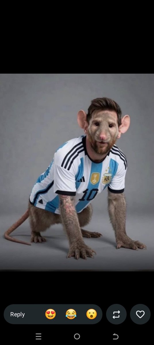 ElezueSolomon's tweet photo. @FabrizioRomano The mouse 🐁🐁🐁 https://t.co/Mf3yNfx7k9
