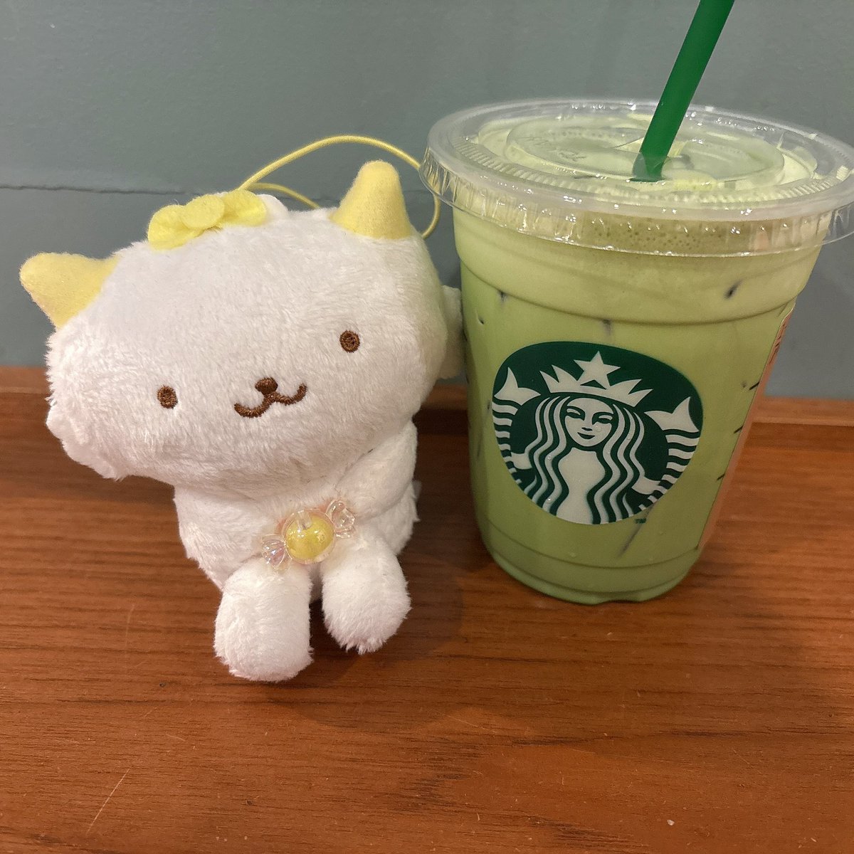 Aimer_hello's tweet photo. お座りぱわ https://t.co/qmzuc2bf0o