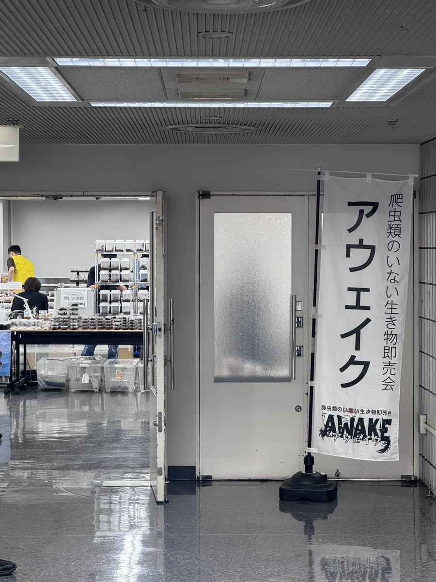 oheyarium's tweet photo. 7/19はAWAKEに参加させてもらいました。

購入した生体も無事持ち帰り環境立ち上げました。
元気に生きてくれ❗️ https://t.co/hKIbmBzRwm