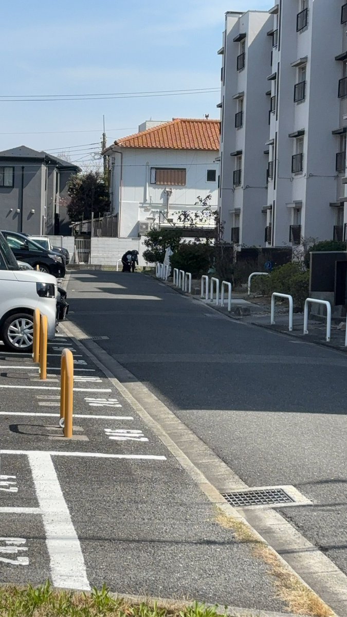 詐欺師掃除本舗(元便利屋ミリタリー) tweet media