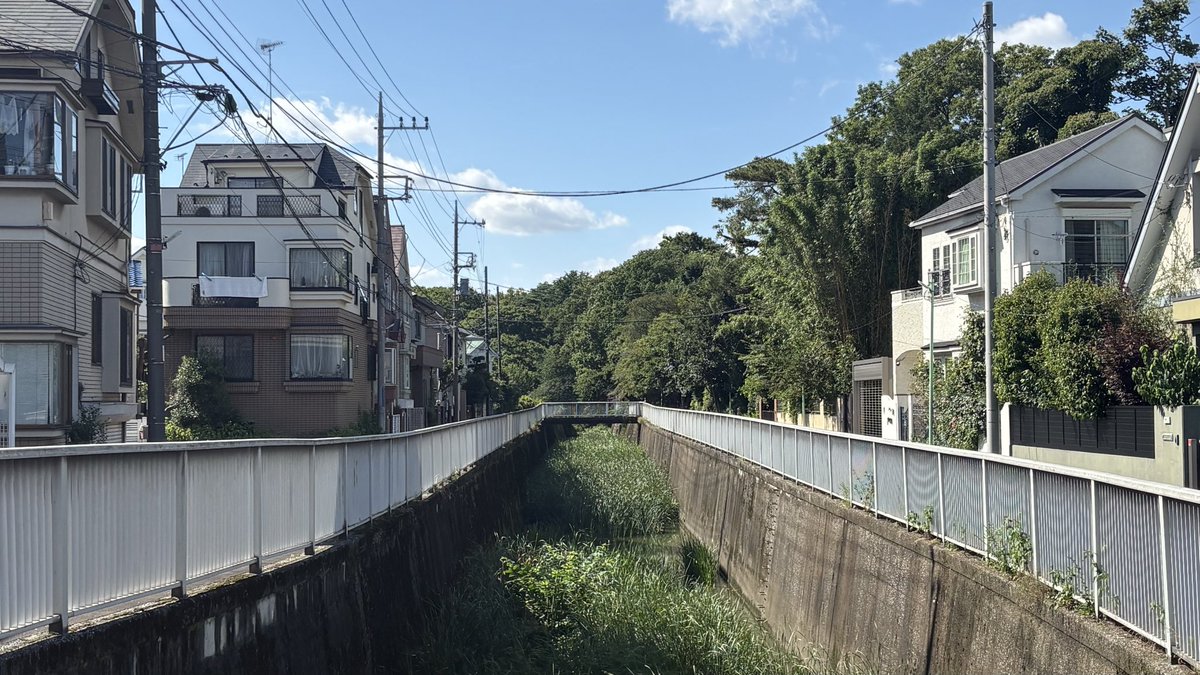 so0ko0's tweet photo. 別にどうって事ない風景なのですが、ランニングコースのこのviewが夏を感じて好きです。奥は井の頭公園。
#ランニング
#井の頭公園 https://t.co/O7MRxsCN3k
