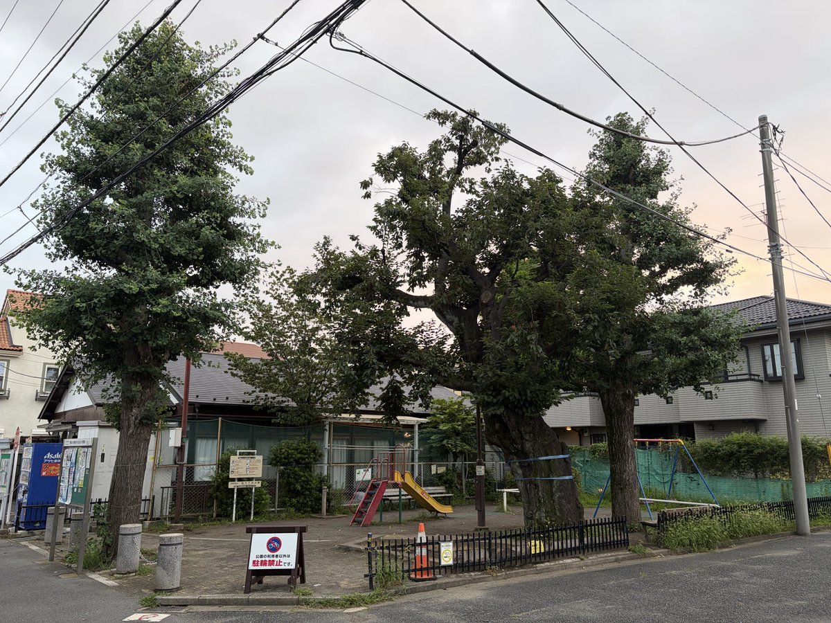 zm99999's tweet photo. 砧6丁目公園。 https://t.co/VUtUcZx3cB