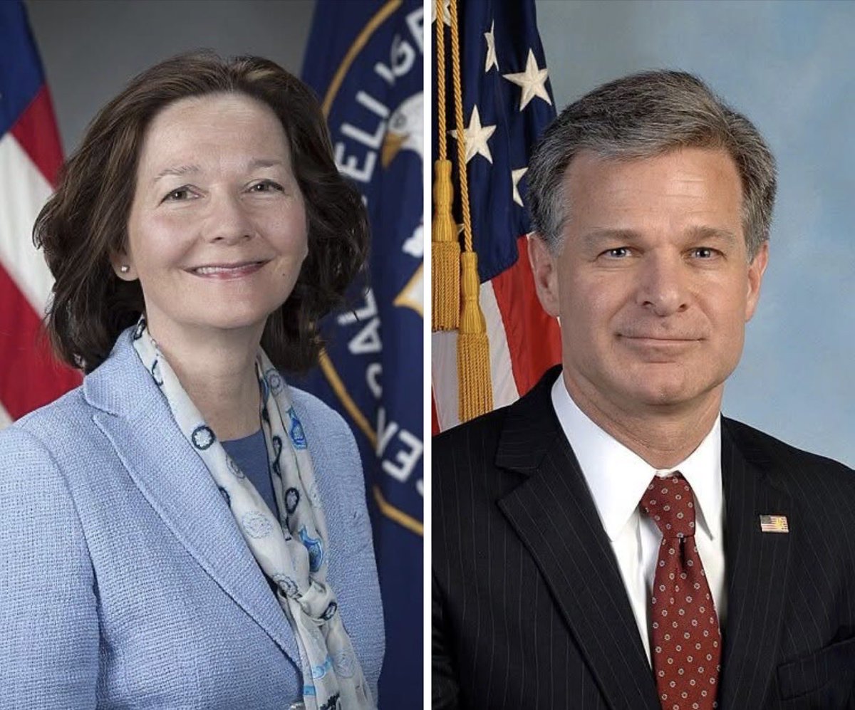 eagameover's tweet photo. 🚨🚨🚨🚨🚨🚨🚨🚨

The CIA and FBI were running a shadow government operation against President Trump in his first term, especially during the 2020 election!

Gina Haspel was the CIA director, and Chris Wray was the FBI Director in 2020! No exceptions, ARREST them both! https://t.co/Ex3ADgaUrf