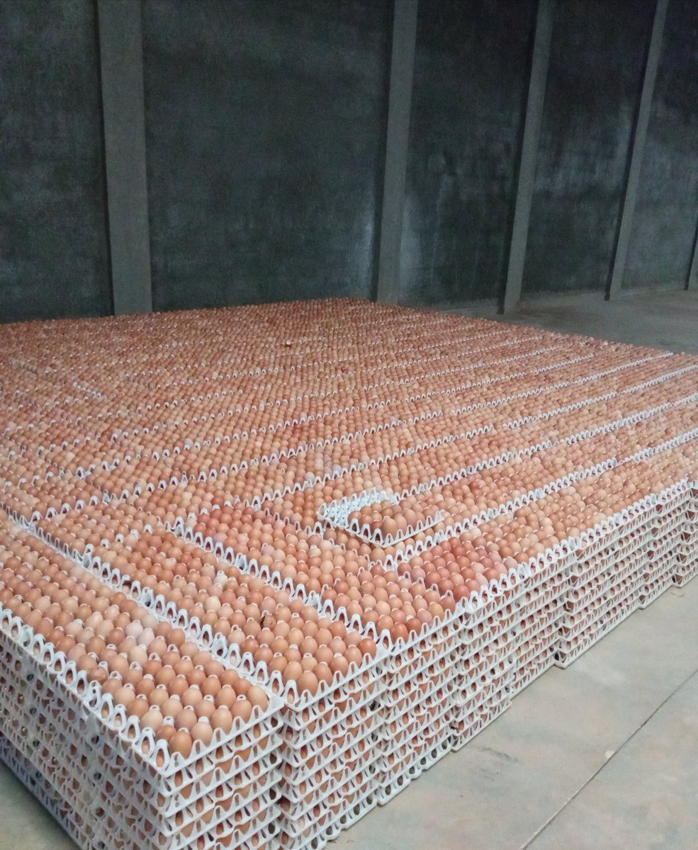 2iC_ke's tweet photo. in case my math is correct , this how many balls made it to theworld cup final💀 https://t.co/MTEytz9d9F