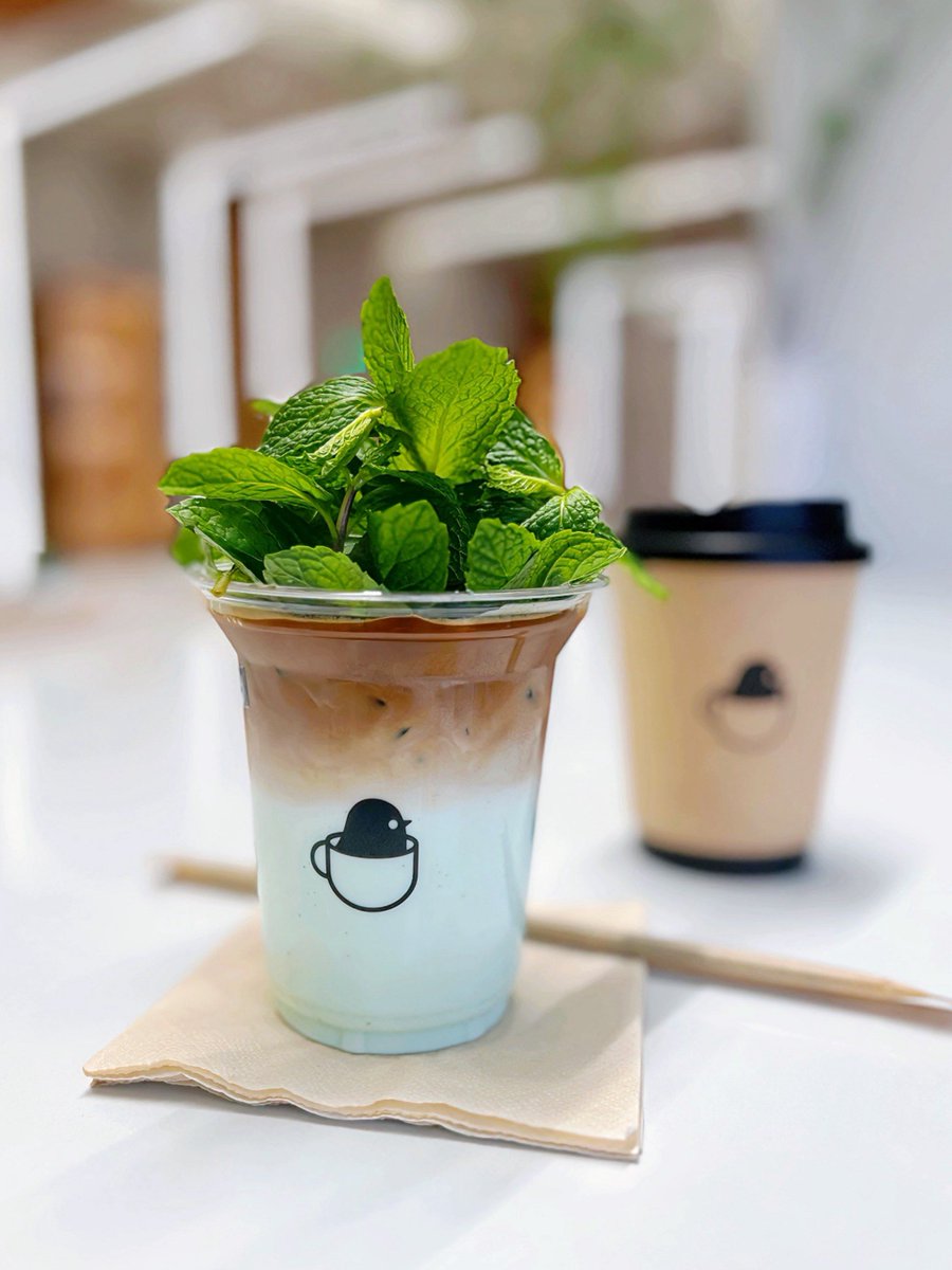 Kim_Hyuk's tweet photo. New summer favorite! Whip up a mint iced latte in 5 mins: brew espresso, pour over ice, add oat milk u0026 a dash of mint syrup. Refreshing boost for your day!， https://t.co/HJv20AJoxF