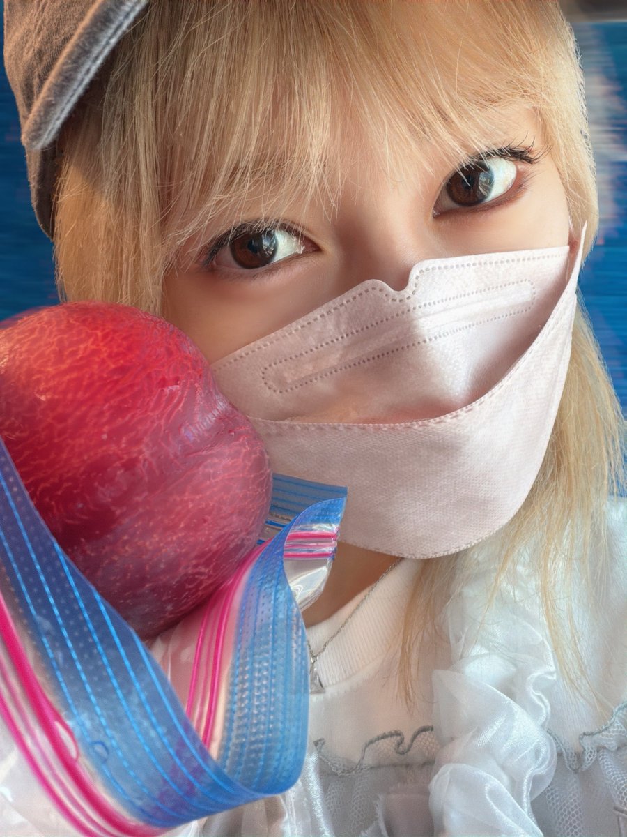 sasakirico's tweet photo. おはりこち！

佐々木李子ワンマン
『RI PATHOS LIVE in OSAKA』
の朝🍑🩶

すももいただきます！ https://t.co/E6tFN12jv4