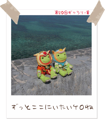 picklesthefrog6's tweet photo. 【Today’s pickles】#かえるのピクルス #picklesthefrog
#todayspicklesofficial #萌蛙匹克 #泡菜青蛙
https://t.co/FX9JVv3hj6
みんなでピクルスの写真を投稿しよう♪
応募期間:2026年4月01日〜2026年09月30日
結果発表:2026年11月上旬 https://t.co/NZDPmET8Er