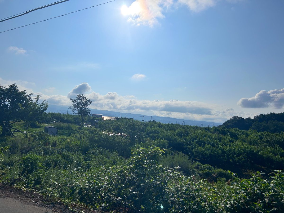 Ryuchankawamura's tweet photo. あちぃー🫠🥵
炎天下に２時間以上待機中☀️
四時起きして来たけどすでに軽く300人以上いる💦

🍑🍑買えるかな心配😅

#新府共選場 https://t.co/sxFDGPW5qR
