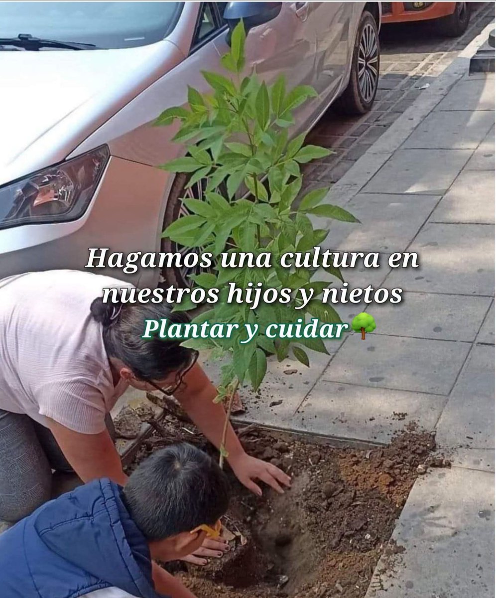 GremeMend's tweet photo. https://t.co/U4c8VahSDP