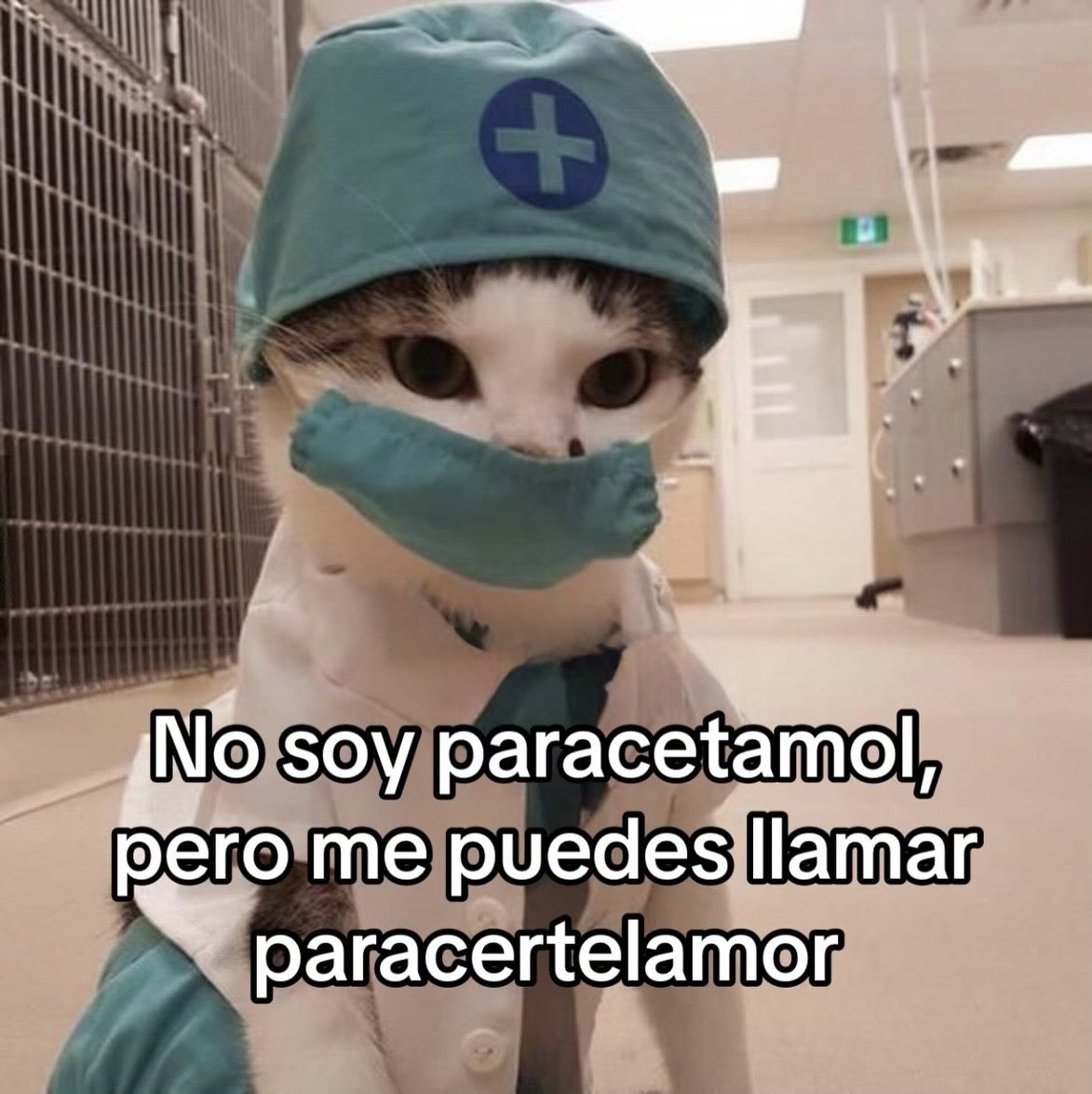 ANIMALITOSSANA's tweet photo. https://t.co/vQiFe0zVKN