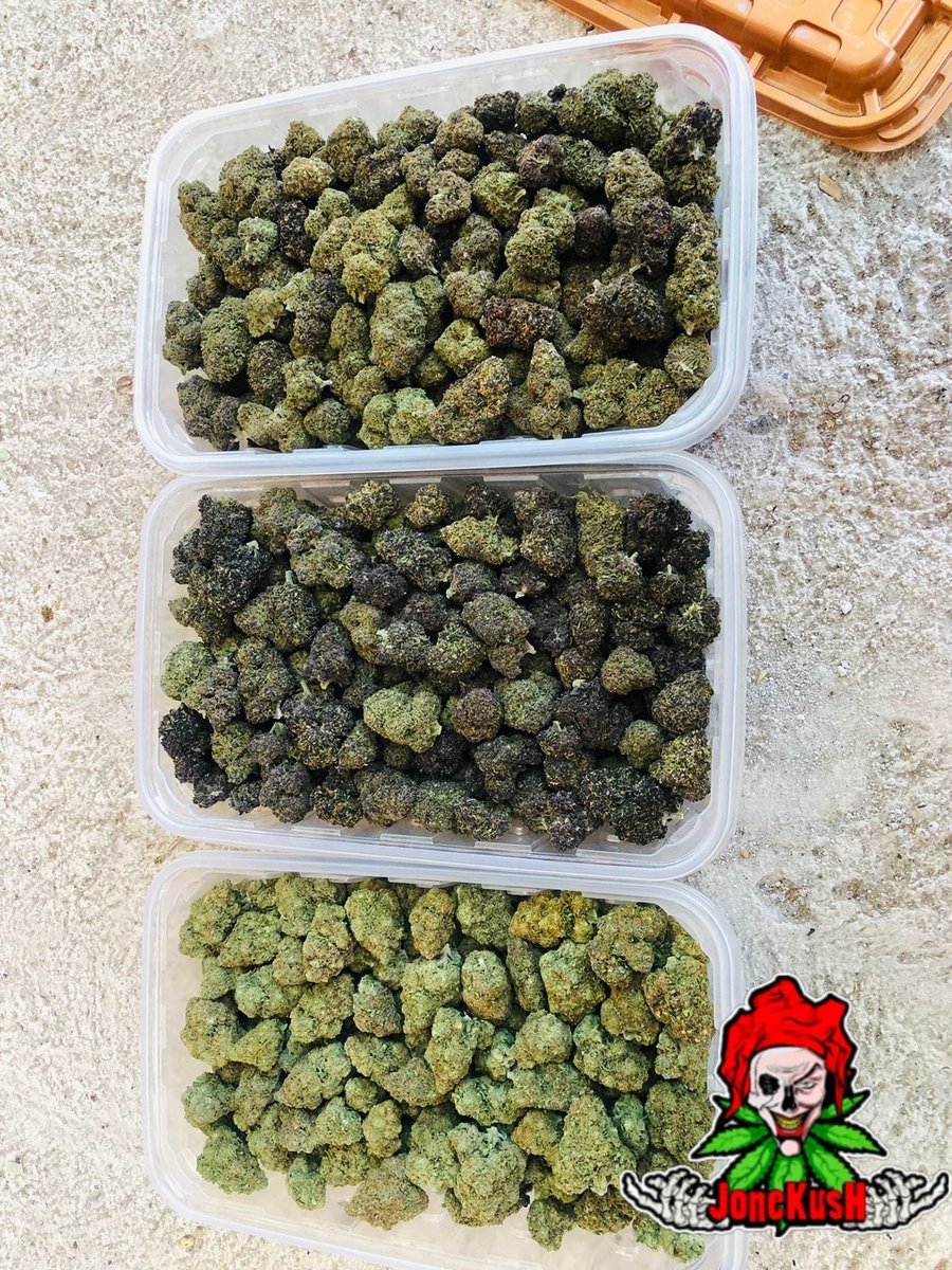ElapaJK's tweet photo. Apasitos lo prometido es deuda gano 🇪🇸 asi que prxmx solo por hoy .

Llévate 2 🥝🥝 de selecto y recibe de regalo 1/2 🥝 de una cepa sorpresa solo por hoy .

Dejo link en comentarios para saber mas . https://t.co/aE3OnosyHL