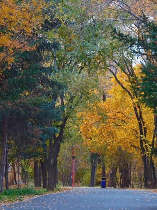 lsmsl0708's tweet photo. The first cool autumn breeze feels like a warm hug from the season. Perfect day for a walk with a coffee.， https://t.co/myzCk66Hq8