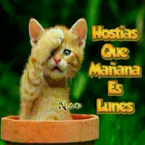 Irisdibujapoco's tweet photo. No quiero ir gente https://t.co/3EvNMK7Y7J