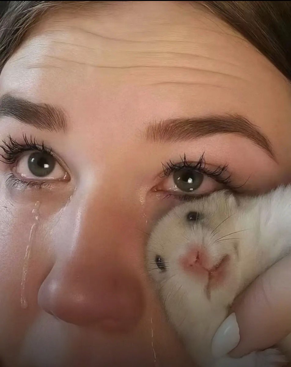 nammypanda's tweet photo. I feel like a chungus after eating half a rotisserie chicken with cucumbers&amp;hummus. https://t.co/WSjWJGQTlf