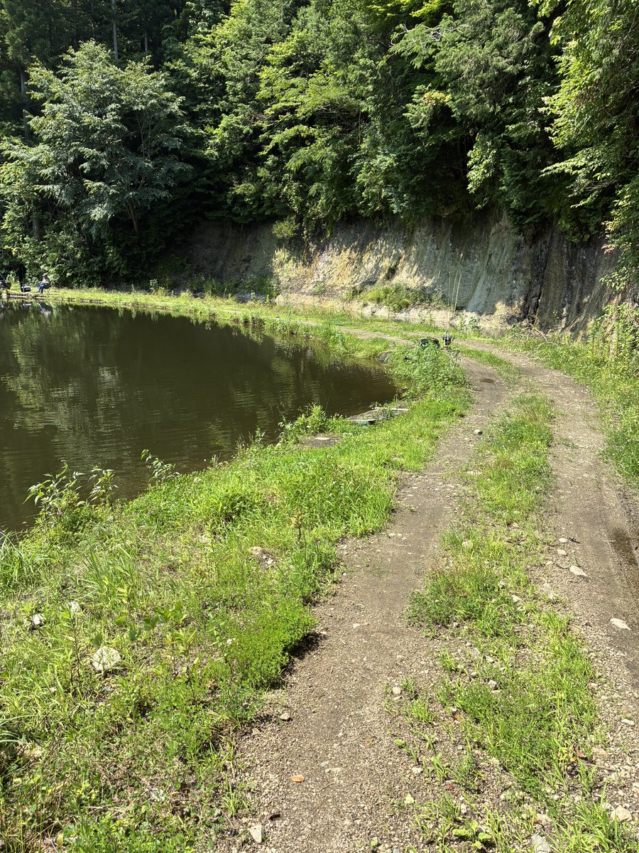 suga_dtf's tweet photo. この池どうかしてる…
クソ暑いのにまだ釣れる https://t.co/staDD1I9pJ