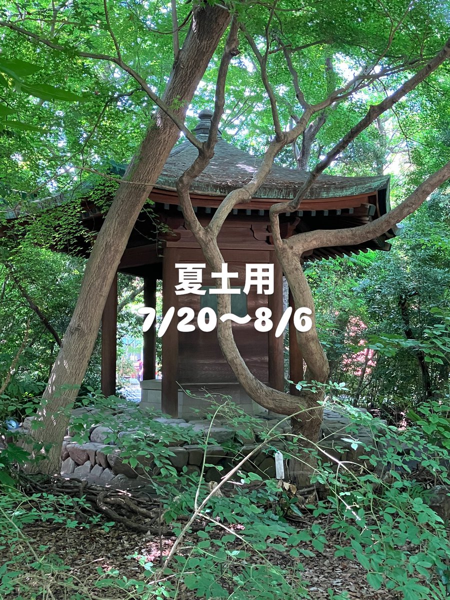 koufuudo's tweet photo. 暑さが厳しくなってきました

今週26日まで
ご予約が混んでしまいましたが
来週は空いている曜日がございます
お気軽にお声掛けください

堂主　拝 https://t.co/65zAAROnQn