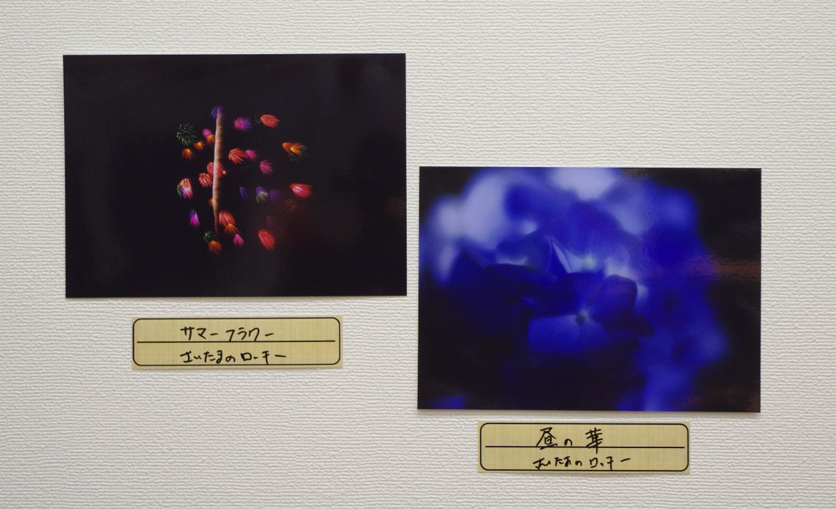 pentaxclubhouse's tweet photo. 【PENTAXクラブハウス 企画展】
クラブハウスでは企画展「PENTAX K-1 Eyes」を開催中✨
皆様よりK-1シリーズで撮影された素敵な作品をいただきまして、感謝しております
十糸郎さん、さいたまのロッキーさん、ありがとうございます！
営業　11:00 ～ 18:00 ※水、日、祝日定休
https://t.co/xREENok6M9 https://t.co/8MxSpu457e